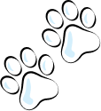 Paws Graphic